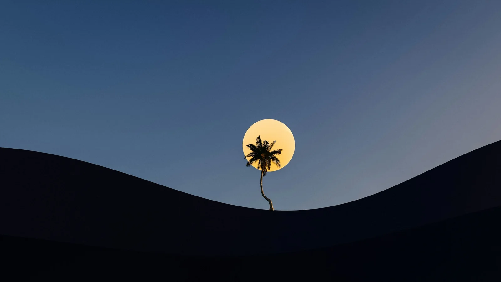 A lone palm tree against a pale moon over dark dunes, a reminder that AI can work alongside existing software, not replace it